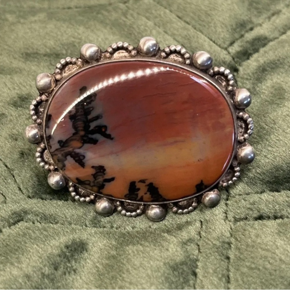 Rare vintage Navajo Indian pin. Sterling silver and petrified wood.